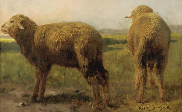 Sheep In A Meadow by Rosa Bonheur - Hand-Painted Oil Painting Reproduction