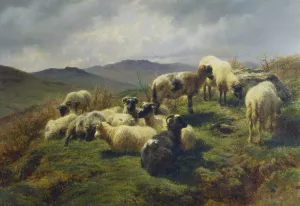 Sheep in the Highlands Oil painting by Rosa Bonheur