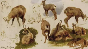 Studies Of An Isard by Rosa Bonheur Oil Painting