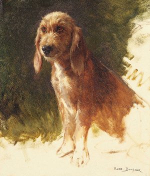 Study of a Dog by Rosa Bonheur Oil Painting