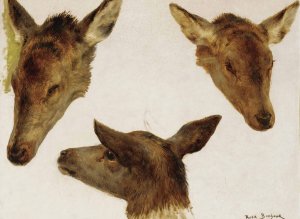 Study Of Deer Heads by Rosa Bonheur Oil Painting