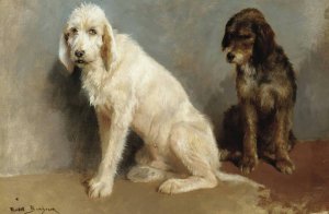 Study Of Two Dogs by Rosa Bonheur Oil Painting