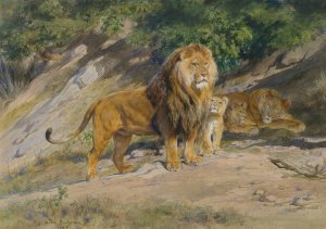 The King Watches by Rosa Bonheur Oil Painting