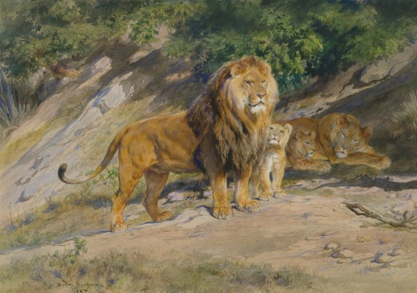 The King Watches  by Rosa Bonheur - Hand-Painted Oil Painting Reproduction
