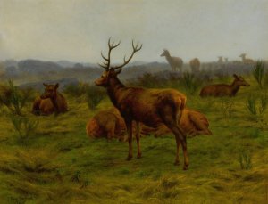 The Monarch of the Herd by Rosa Bonheur Oil Painting