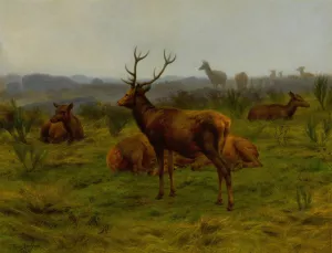 The Monarch of the Herd by Rosa Bonheur Oil Painting