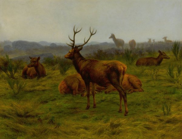 The Monarch of the Herd  by Rosa Bonheur - Hand-Painted Oil Painting Reproduction