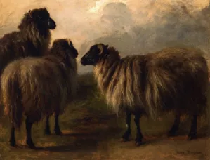 Three Wooly Sheep painting by Rosa Bonheur