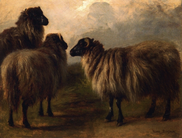 Three Wooly Sheep by Rosa Bonheur - Hand-Painted Oil Painting Reproduction