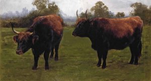 Two Bulls Grazing by Rosa Bonheur Oil Painting