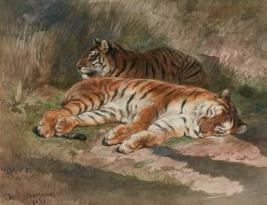 Two Recumbent Tigers by Rosa Bonheur Oil Painting
