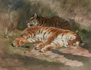 Two Recumbent Tigers by Rosa Bonheur Oil Painting