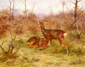 Un Couple De Chevreuils Dans Le Foret De Fontainebleau by Rosa Bonheur Oil Painting