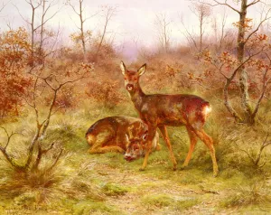 Un Couple De Chevreuils Dans Le Foret De Fontainebleau by Rosa Bonheur Oil Painting