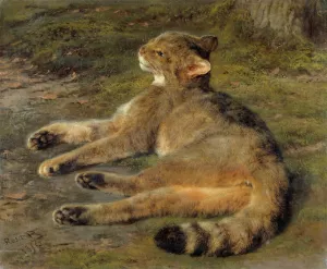 Wild Cat by Rosa Bonheur Oil Painting