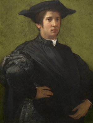 Portrait of a Man by Rosso Fiorentino Oil Painting