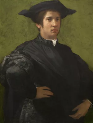 Portrait of a Man by Rosso Fiorentino Oil Painting