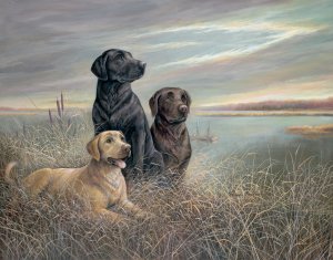 All Grown Up by Ruane Manning Oil Painting