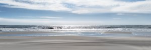 Beach Bliss by Ruane Manning Oil Painting