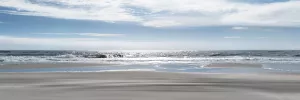 Beach Bliss Oil Painting by Ruane Manning - Bestsellers