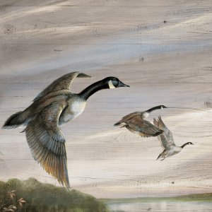 Migratory Birds I by Ruane Manning Oil Painting