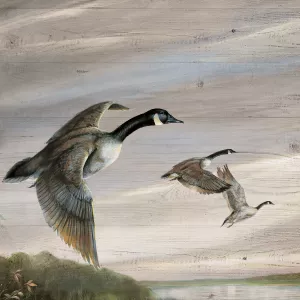 Migratory Birds I Oil Painting by Ruane Manning - Bestsellers
