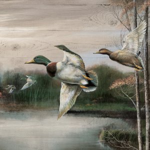 Migratory Birds II by Ruane Manning Oil Painting