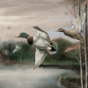 Migratory Birds II Oil Painting by Ruane Manning - Bestsellers