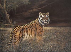 Splendor in Grass by Ruane Manning Oil Painting