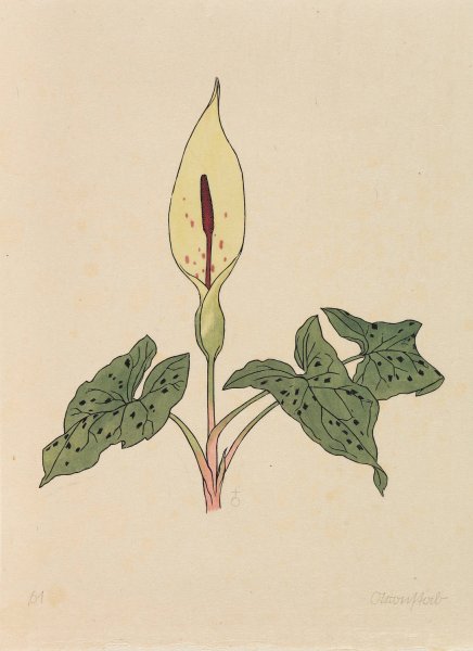 Blumenbuch  by Rudolf Koch - Hand-Painted Oil Painting Reproduction