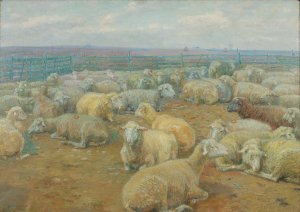 Flock of Sheep by Rudolf Konopa Oil Painting