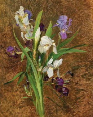 Irises by Rudolf Ribarz Oil Painting