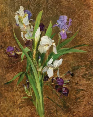 Irises by Rudolf Ribarz Oil Painting