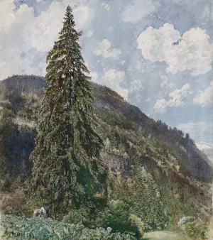 The old Spruce in Bad Gastein by Rudolf Von Alt Oil Painting
