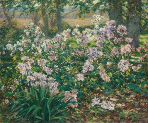 Windflowers by Ruger Donoho Oil Painting