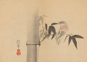 Sakai Hoitsu gajo, Pl.04 by Sakai Hoitsu Oil Painting