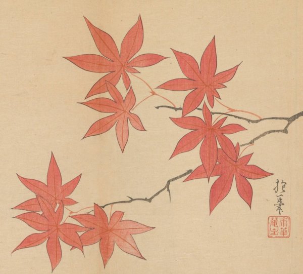 Sakai Hoitsu gajo, Pl.05  by Sakai Hoitsu - Hand-Painted Oil Painting Reproduction
