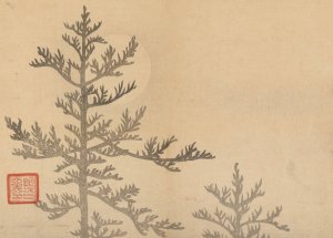 Sakai Hoitsu gajo, Pl.16 by Sakai Hoitsu Oil Painting