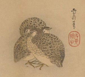Sakai Hoitsu gajo, Pl.20 by Sakai Hoitsu Oil Painting
