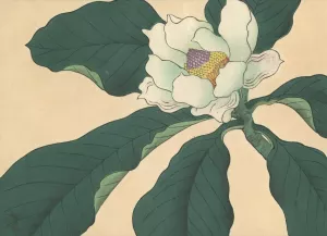 Cucumber tree flowers by Sakai Hoitsu Cucumber tree flowers by Sakai Hoitsu Oil Painting