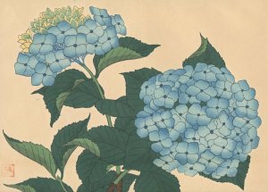 Hydrangea by Sakai Hoitsu Oil Painting