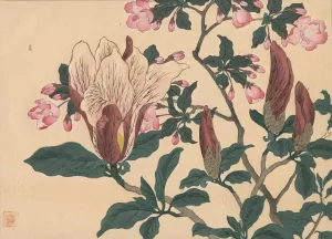 Magnolia by Sakai Hoitsu Magnolia by Sakai Hoitsu Oil Painting