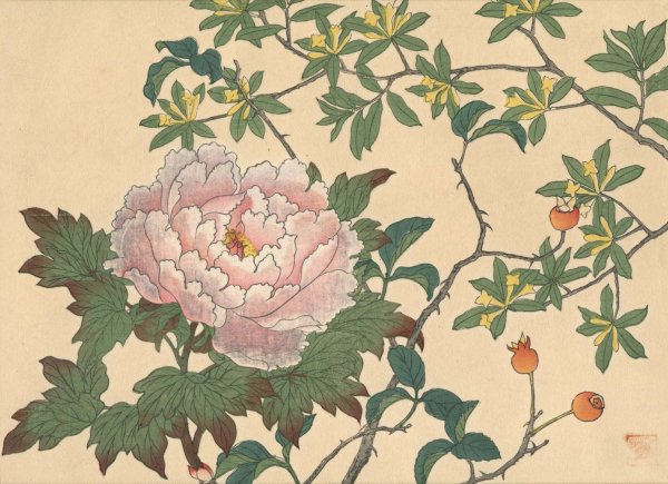 Peony  by Sakai Hoitsu - Hand-Painted Oil Painting Reproduction