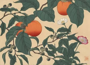 Persimmon by Sakai Hoitsu Oil Painting
