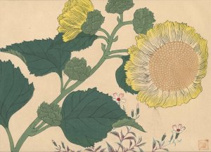 Sun flowers by Sakai Hoitsu Oil Painting