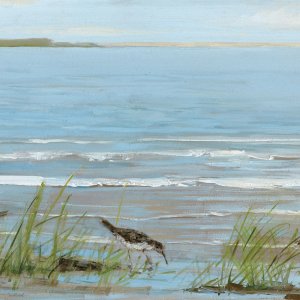 Afternoon On The Shore II by Sally Swatland Oil Painting