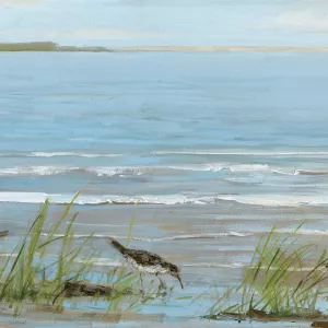 Afternoon On The Shore II Oil painting by Sally Swatland