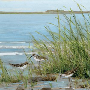Afternoon On The Shore III by Sally Swatland Oil Painting