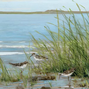 Afternoon On The Shore III Oil Painting by Sally Swatland - Bestsellers