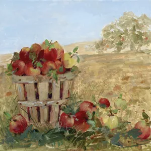 Apple Picking III by Sally Swatland Oil Painting